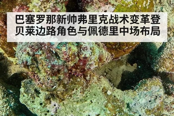 巴塞罗那新帅弗里克战术变革登贝莱边路角色与佩德里中场布局